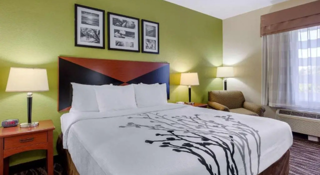 Номер Standard Sleep Inn & Suites Montgomery East I-85
