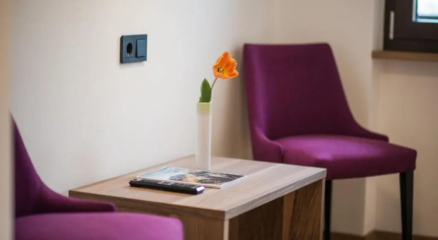 Номер Standard Hotel Salgart