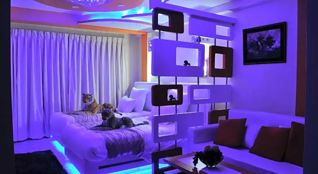 Номер Executive Royal Penguin Boutique Hotel & Spa