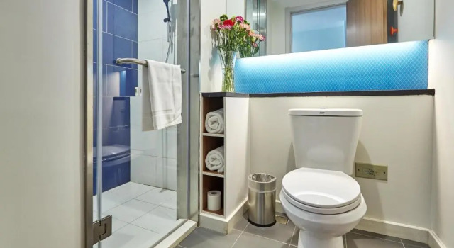 Люкс Holiday Inn Express Nanjing Xuanwu Lake by IHG