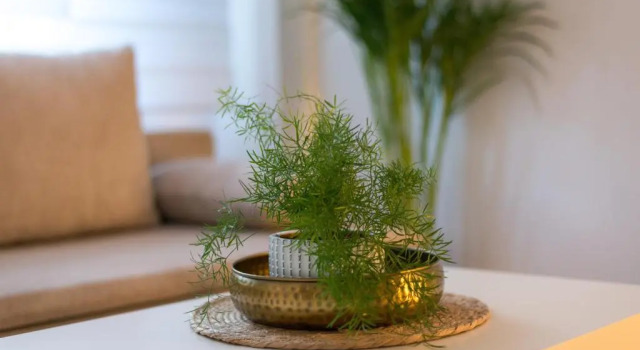 Апартаменты Orchideen Apartment