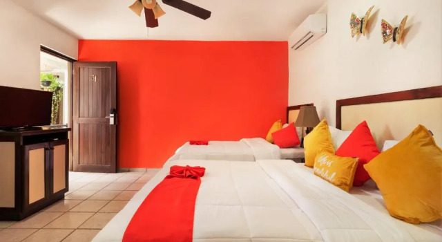 Номер Standard Posada Mariposa Boutique Hotel - 5th Avenue