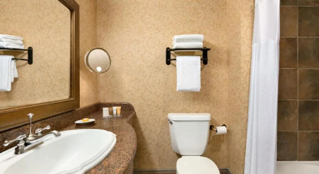 Четырёхместный номер Deluxe Chateau on the Lake Resort Spa and Convention Center
