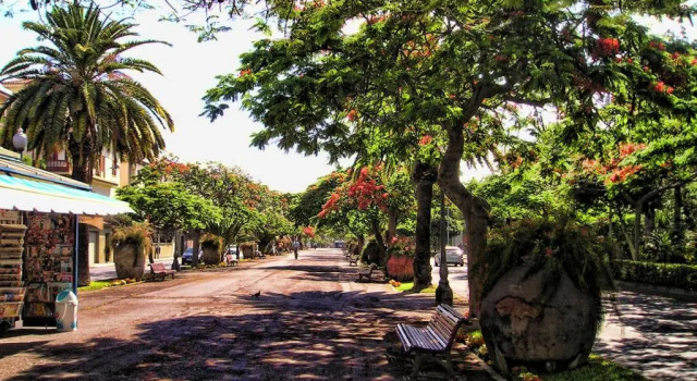 Апартаменты Deluxe Flores & Campos Guest House
