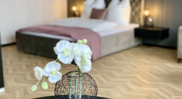 Апартаменты Standard V Business Living Appartment