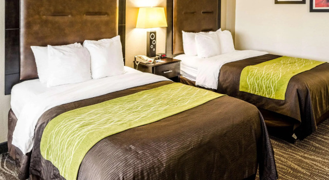Четырёхместный номер Standard Fairfield by Marriott Inn & Suites Charleston Downtown