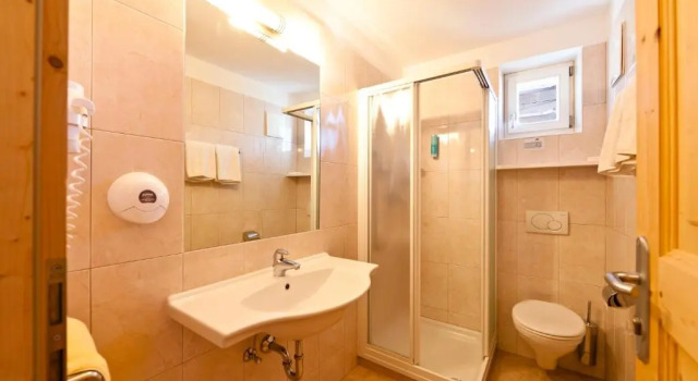 Номер Standard Hotel Steineggerhof