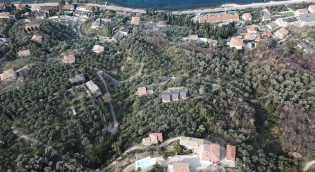 Апартаменты Agriturismo Le Anze