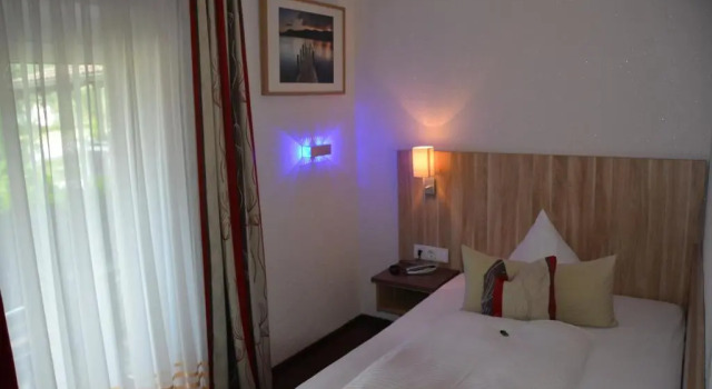 Номер Comfort Alpina Hotel