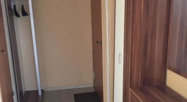 sunny apartment