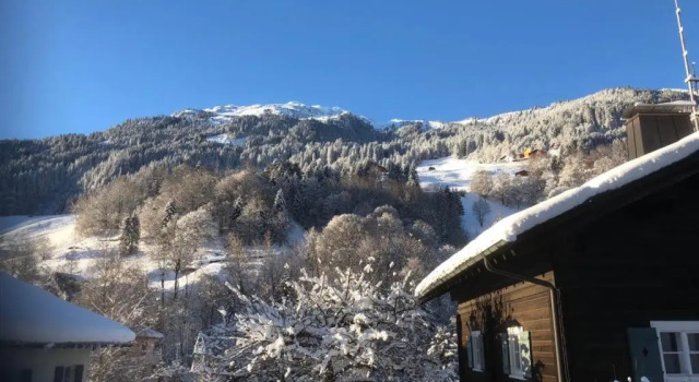 Апартаменты Ferienhaus Büsch