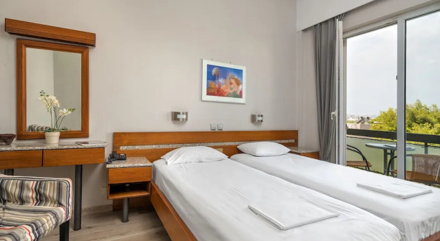 Трёхместный номер Standard с балконом Park Hotel