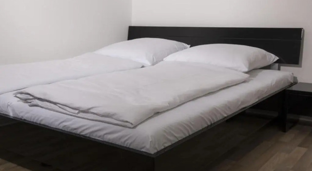 Номер Standard Dasluki