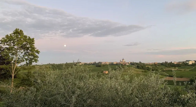 Номер Standard Laficaia Wine Resort