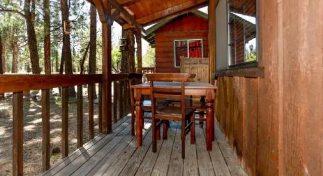 1328-birdie Cabin