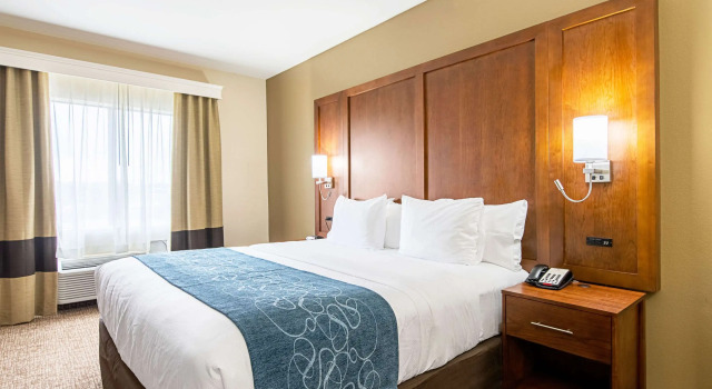 Двухместный люкс Comfort Inn & Suites Pine Bluff