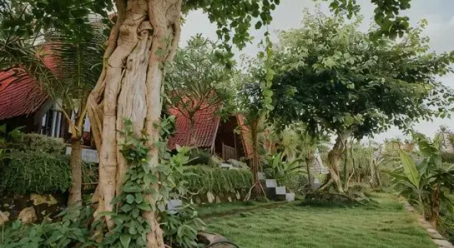 Habitación De lujo Jun Cottage