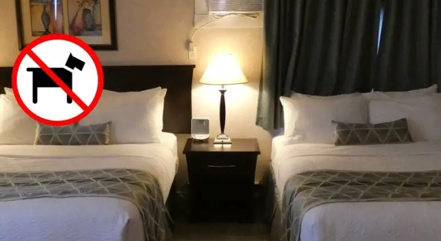 Четырёхместный номер Standard Dilworth Inn Kelowna