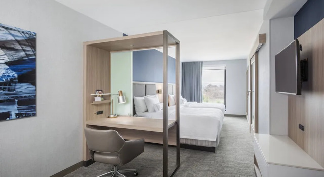 Suite SpringHill Suites by Marriott Madison
