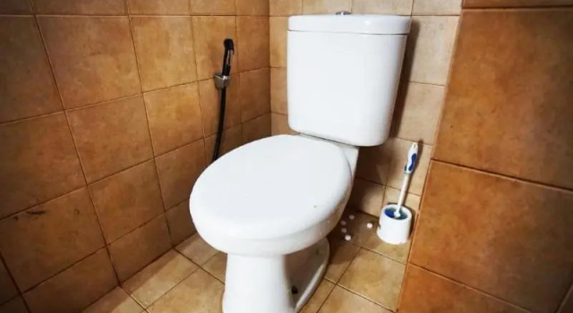 Студия Standard Vika Property GPC