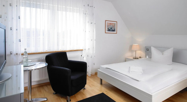 Одноместный номер Standard Hotel Bad Griepshop