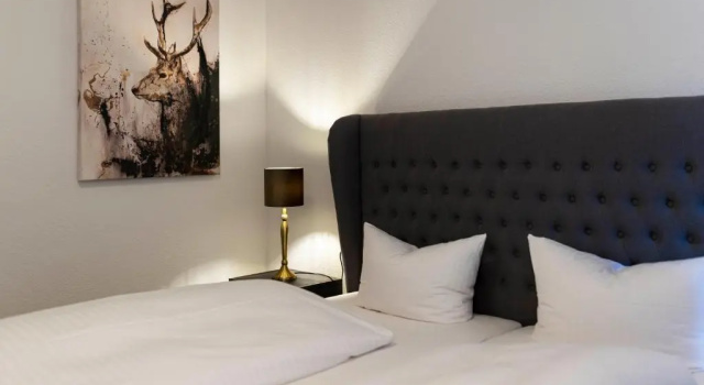 Полулюкс с балконом Waldhotel Riesebusch