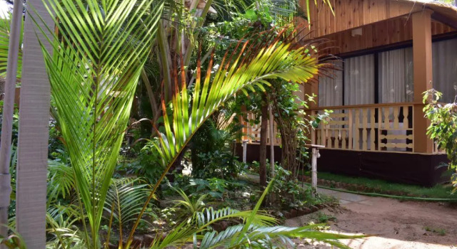 Номер Deluxe с частичным видом на море Cuba Patnem Bungalows
