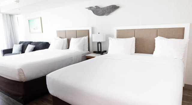 Четырёхместный номер Standard Dolphin Sands Clearwater Beach, an Ascend Collection Hotel