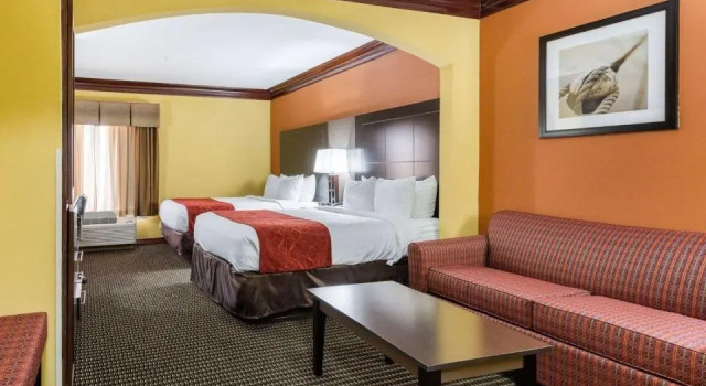Четырёхместный номер Standard Comfort Suites Lake Jackson Clute