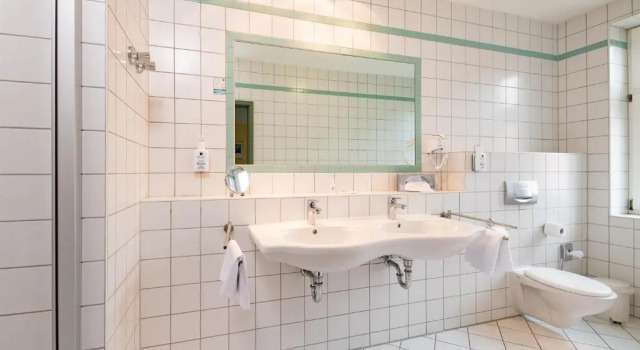 Одноместный номер Standard Hotel Herzog Georg