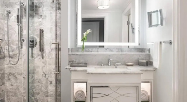 Четырёхместный номер Standard с видом на город The Ritz-Carlton, New Orleans