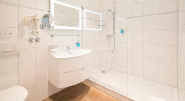 Номер Economy Hotel Bellevue