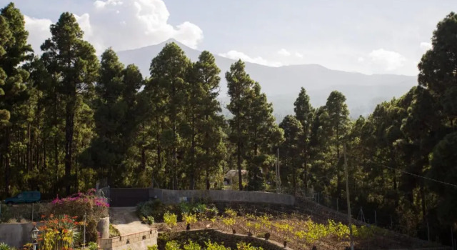 Коттедж Finca Casa Yaya