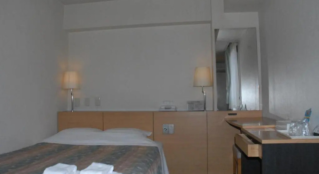 Двухместный номер Standard Hotel Kamoike Plaza