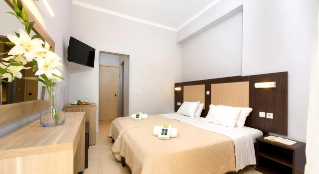Двухместный номер Standard Amalia Hotel