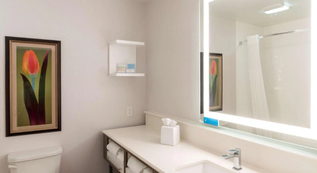 Четырёхместный номер Standard Hampton Inn Holland