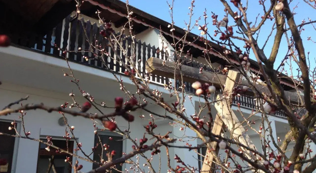 Pension Anna, Book Hotel Rust Lake Neusiedl