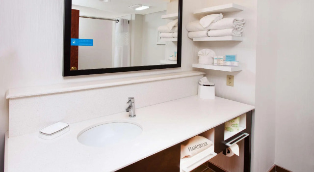 Двухместный номер Standard Hampton Inn Birch Run