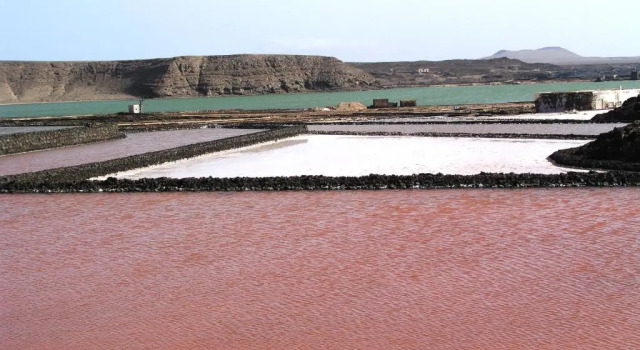 Коттедж Finca El Oratorio