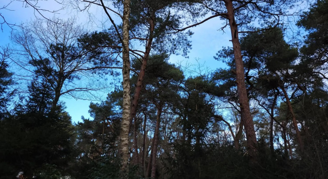 Secret Wellness De Droomtuin