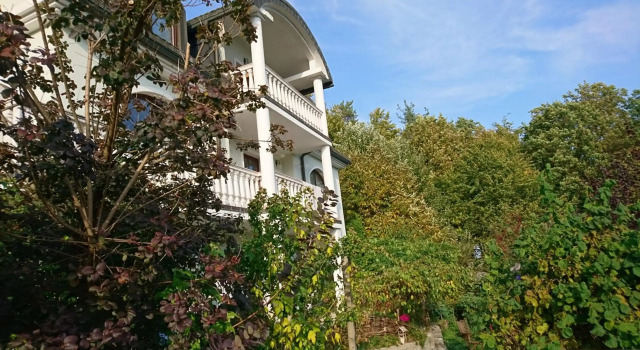 Apartma Dolomiti