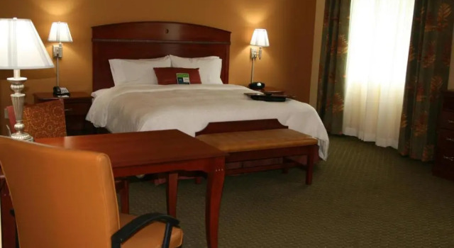 Номер Standard Hampton Inn & Suites Port Richey