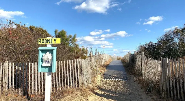 Rodney Avenue 8B