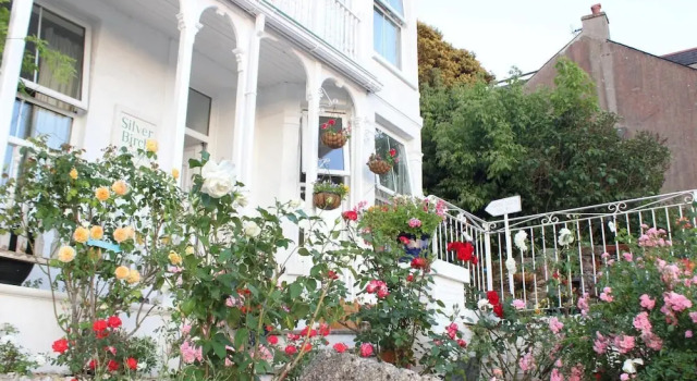Silver Birch Guest House, Rezervați Pensiune Pensiuni în Looe, aproape de Second Beach, Pensiune