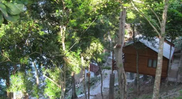 Treetop Guesthouse and Bungalows