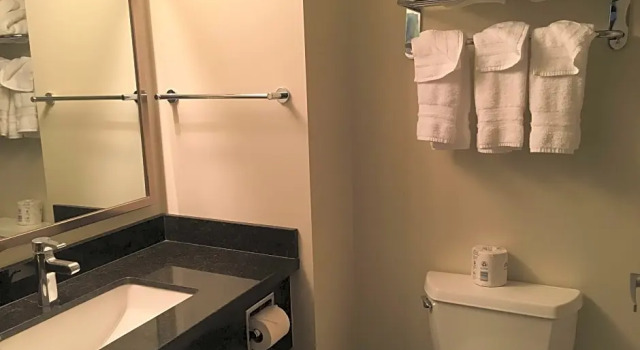 Двухместный люкс c 1 комнатой Best Western Plus Pitt Meadows Inn & Suites