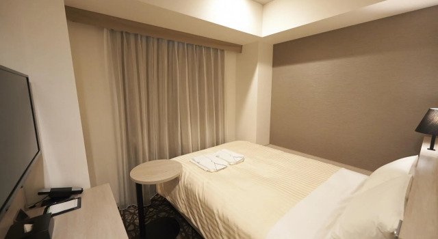 Двухместный номер Comfort Sotetsu Fresa Inn Ginza-Nanachome