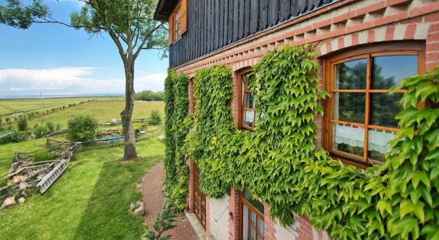 Beautiful Apartment in Kägsdorf Germany With Sauna