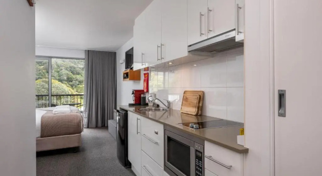 Студия Snowgoose Apartments