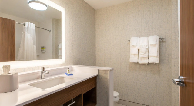 Двухместный номер Standard Holiday Inn Express & Suites Greenville S - Piedmont by IHG